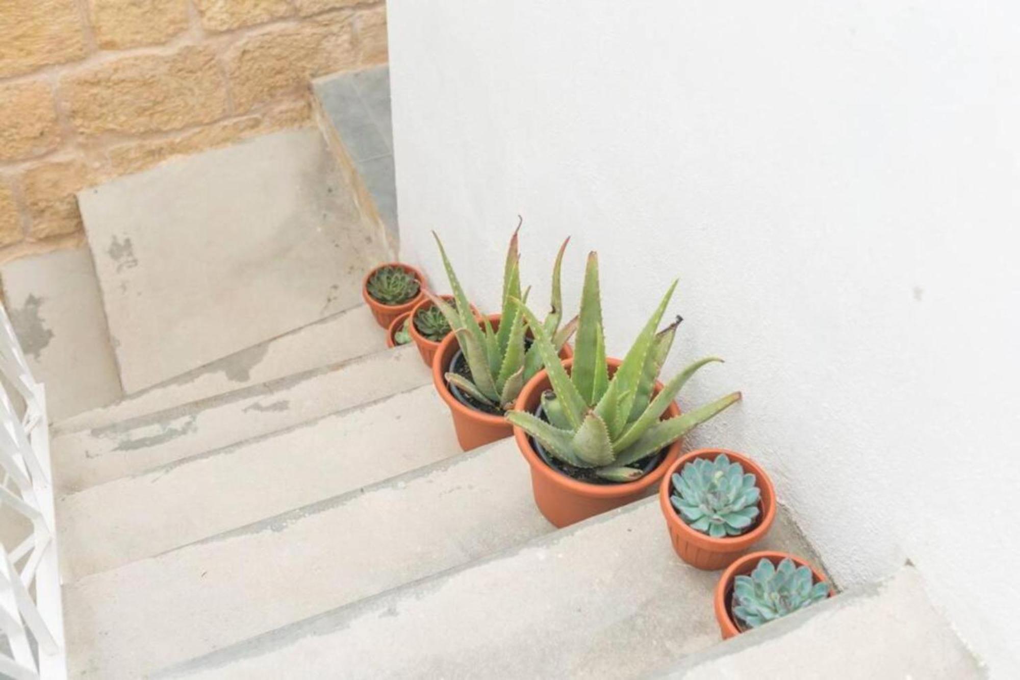 Authentic 1St Fl Apartment At The 3 Cities Marina Cospicua Kültér fotó